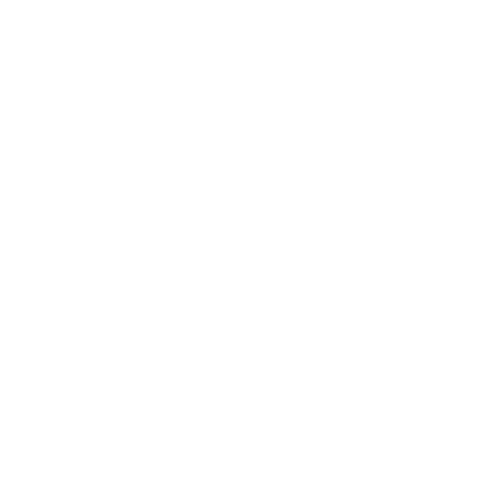 CEO con Propósito